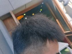 -蘑菇发型