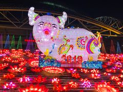 -沈阳奥体冰雪嘉年华