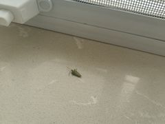 -西姆山居酒店(九寨沟沟口店)