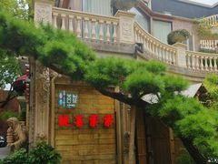 -叶叶菩提(太原别墅店)