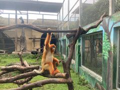-西安秦岭野生动物园