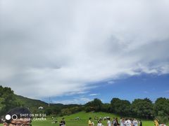 -雨花胜境