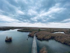 -盐城丹顶鹤湿地生态旅游区