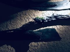 -外婆私房菜(新亚百货店)