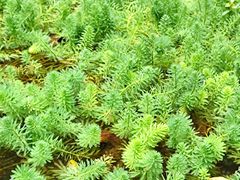 -常州古运河南大街文化旅游区-人民公园