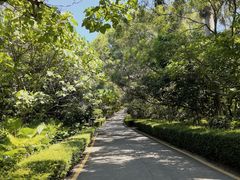 -广东惠东海龟国家级自然保护区
