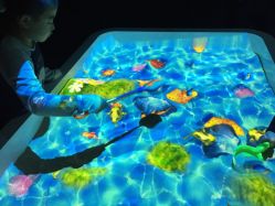 -宝燕乐园(闵行旗舰店)