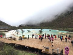 -黄龙山原始森林景区