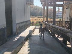 -塔川景区