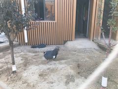-太原动物园