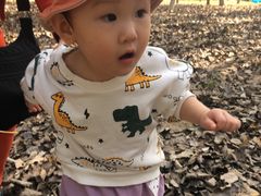 -长白岛森林公园