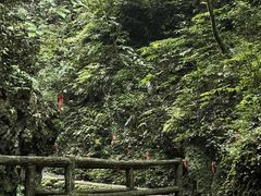 -青城山
