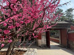 -潭柘寺景区