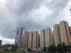 -花果园湿地公园