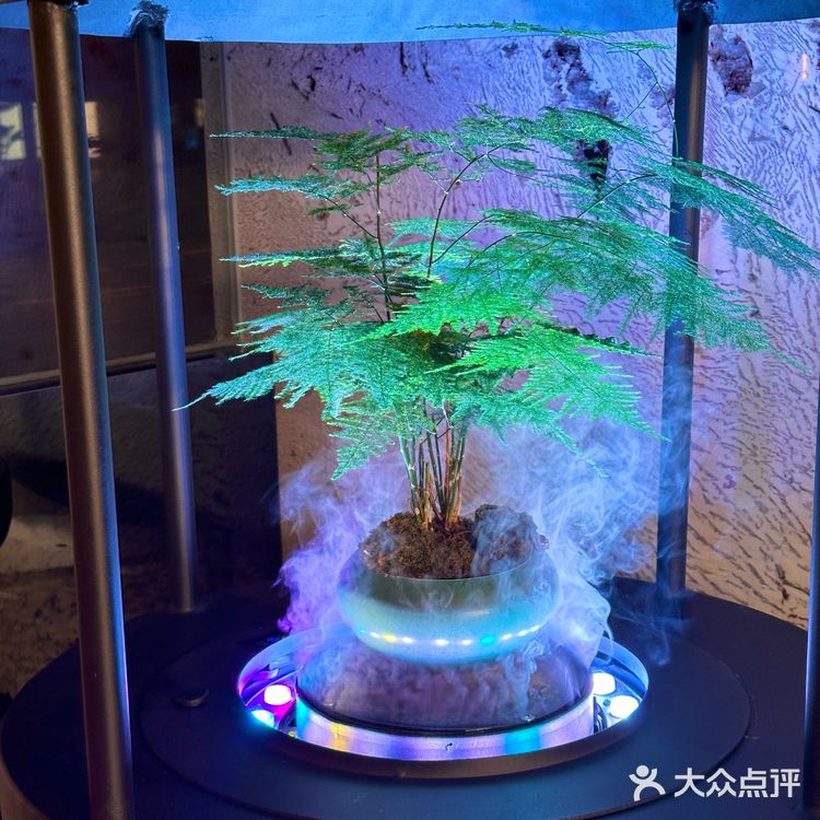 仪式感餐厅耘景里 东方美食与雅致