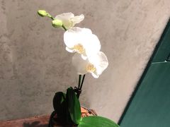 -慧闻酒店(苏州拙政园店)