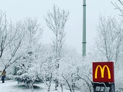 -瑞思英语·少儿英语启蒙(河西·梅江第六田园校区)