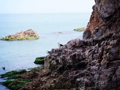 -海驴岛(荣成市)