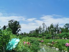 -天府芙蓉园
