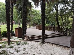 -西苑公园