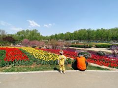 -石家庄市植物园