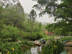 -白水寺森林公园