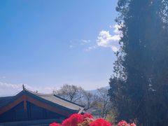 -有一锅·野生菌黑山羊腊排骨火锅(古城北门店)