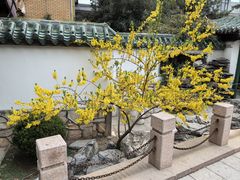 -新川办餐厅