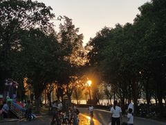 -飞来湖湿地公园