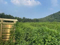 -中国茶叶博物馆(双峰馆区)
