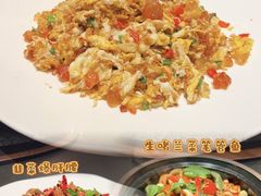 -三强鸽子(中原路店)