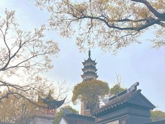 -苏州上方山国家森林公园