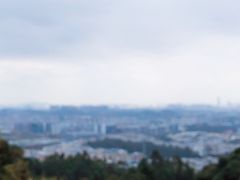 -火炉山森林公园