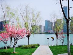 -天鹅湖体育公园