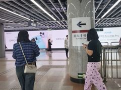 -大望路(地铁站)