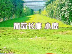 -沉浸北京·团建旅行·密室剧本杀·年会会议轰趴拓展