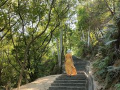 -火炉山森林公园