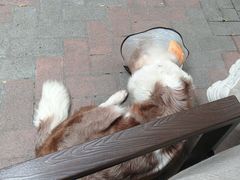 -豆舞咖啡(民乐路店)