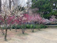 -南通博物苑-崇川人民公园