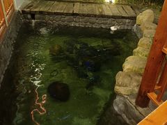 -耕渔小院·湖南鱼鲜(望城店)