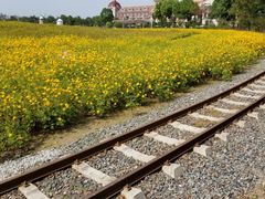 -歌斐颂巧克力小镇