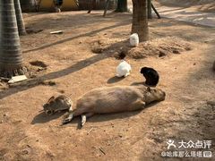 -灵玲国际马戏城