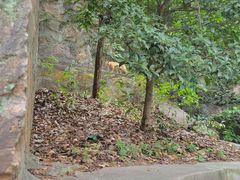 -狼山风景名胜区