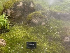 -上海植物园-4号门售票处