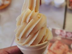 -广州素食学校·素猫豆腐(长洲码头店)