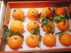 -喜湘宴·精致湖南菜(和平西桥店)