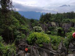 -梭布垭石林景区