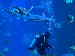 -太平洋海底世界