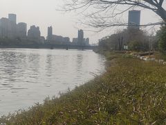 -光明港公园