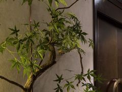 -紫阳富豪大酒店(惠南店)